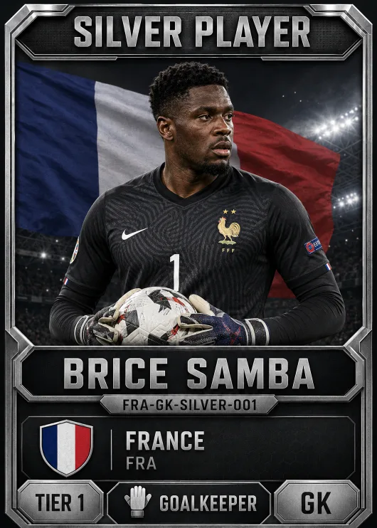Brice Samba — France Silver GK