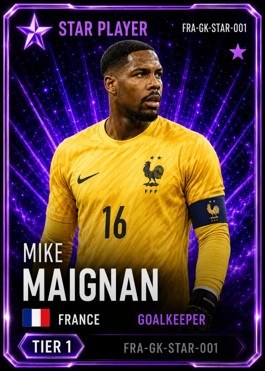 Mike Maignan — France Star GK